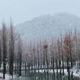 yolanda