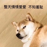 Ha nine