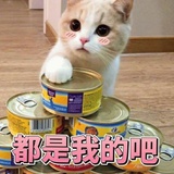 段段