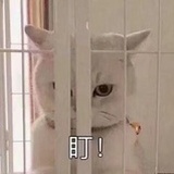差不多看看