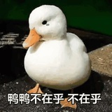 星星的轨迹