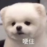 南风未起🌙