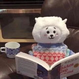 风来不语