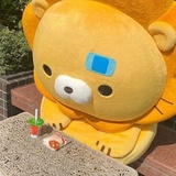 一箱