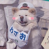 三三