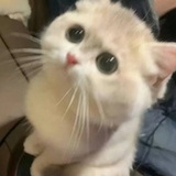 我开心就好
