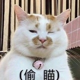 假装没看见
