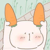许愿树洞
