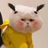 桃