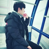 枫之优雅