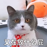 犯嘀咕紧急会议