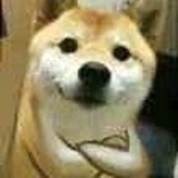 今天也要快乐鸭