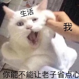 啊对你说得对