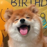 可爱修勾🦴
