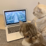 又要起床