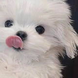 你今天真好看