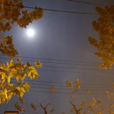昨夜晴空
