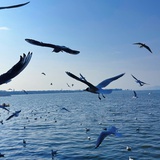 正在闪闪发光的