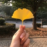 哈哈