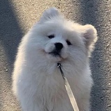 干锅真好吃