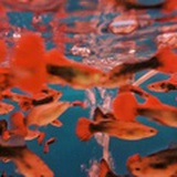 考研人哲学