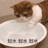 一颗烂橘子