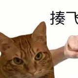 海狸猫（黑化版