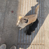 花花落谁家