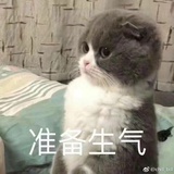 你懂个胡萝卜啊