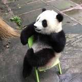 临渊