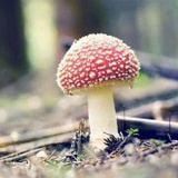 时光记忆