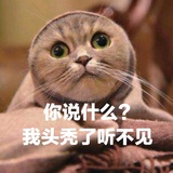 救救我噶发际线