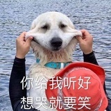 我明年会有钱的