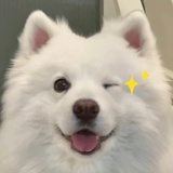 白日造梦家