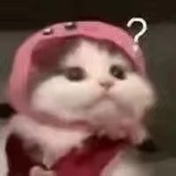 起的名字不能用