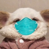 综艺大赏