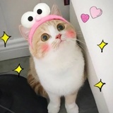 蚂蚁爬树