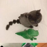 乱码