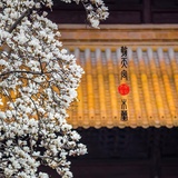 木木