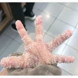 小右