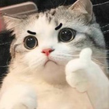 时光