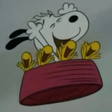 是个酷盖