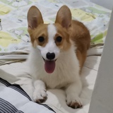 快乐肥妍