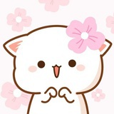 fanfan2hao