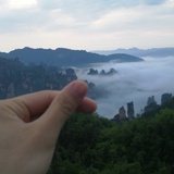 陪你语海和冰