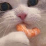 奇奇鼓