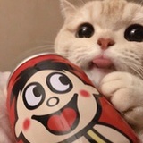 (ٛ˃̶˙ω本可爱登场