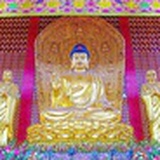 泥鳅哦