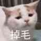 猫是否与