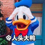 令人头大鸭